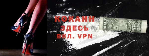шишки Абаза