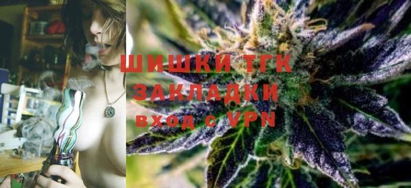 шишки Абаза