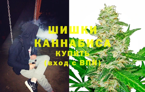 шишки Абаза