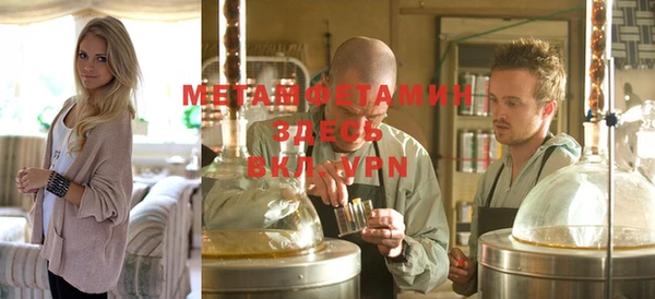 шишки Абаза