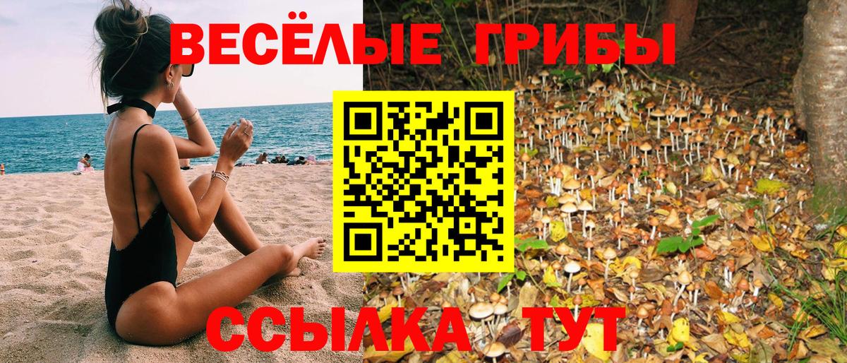 Псилоцибиновые грибы Psilocybine cubensis Донецк